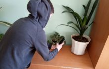 За горшком